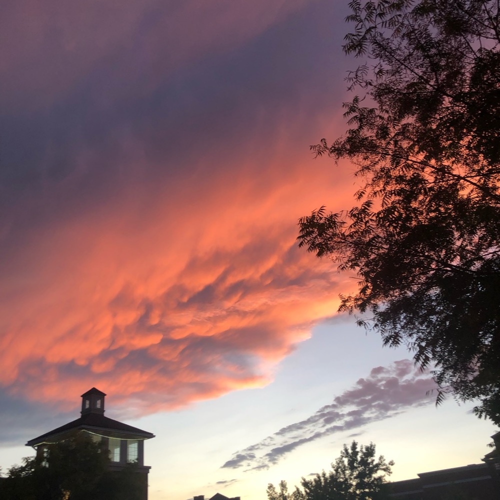 Meet your Posher, Kate